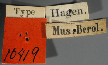 Media type: image; Entomology 10419   Aspect: labels 3